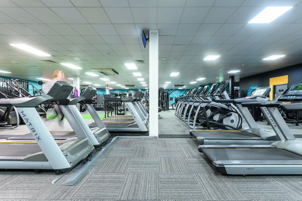 PureGym Waterlooville: Rows of treadmills, stationary bikes, and elliptical machines in a well-lit gym facility.