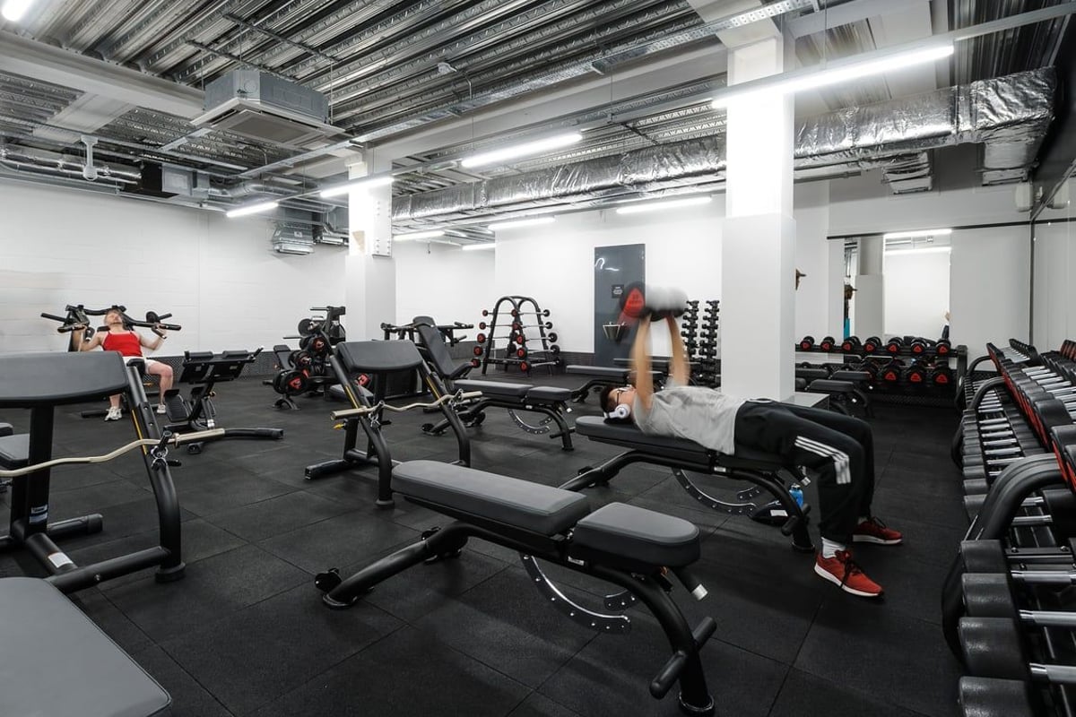 PureGym Colindale Free Weights Area 