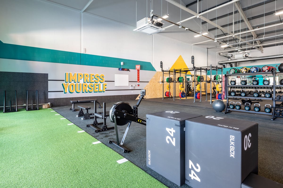 PureGym Ebbw Vale: Plyo boxes, resistance machines, free weights, green turf area, large mirrored wall.