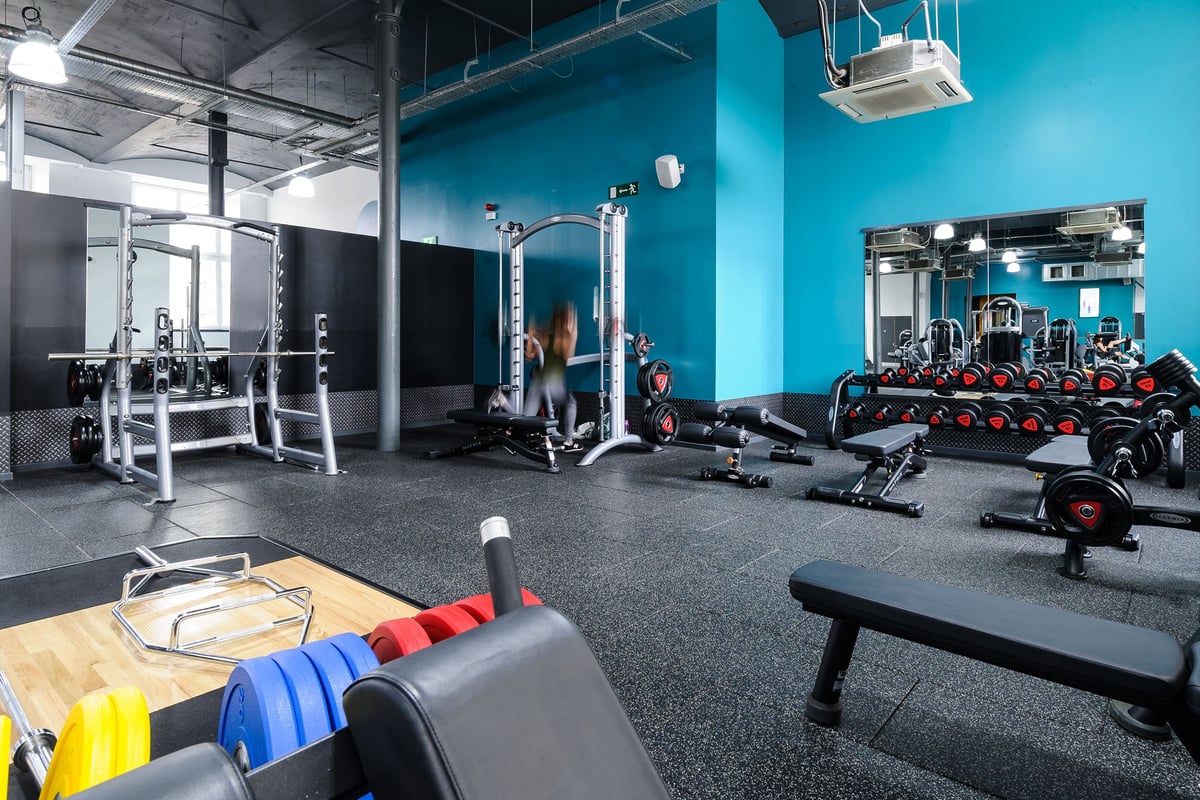 PureGym Dundee: Weight racks, cable machines, benches, free weights, rubberized flooring in a blue-walled gym.