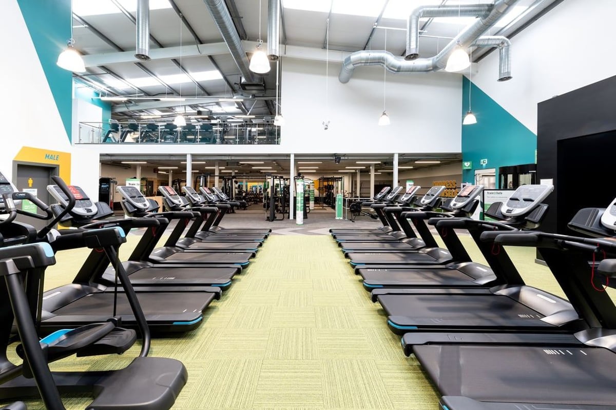 PureGym Colchester Retail Park: Rows of treadmills, exercise bikes, and cross-trainers in a modern gym with teal accents.