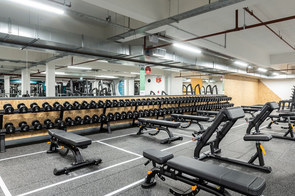 PureGym Gravesend: Rows of dumbbell racks, weight benches, and rubberized flooring in a gym.