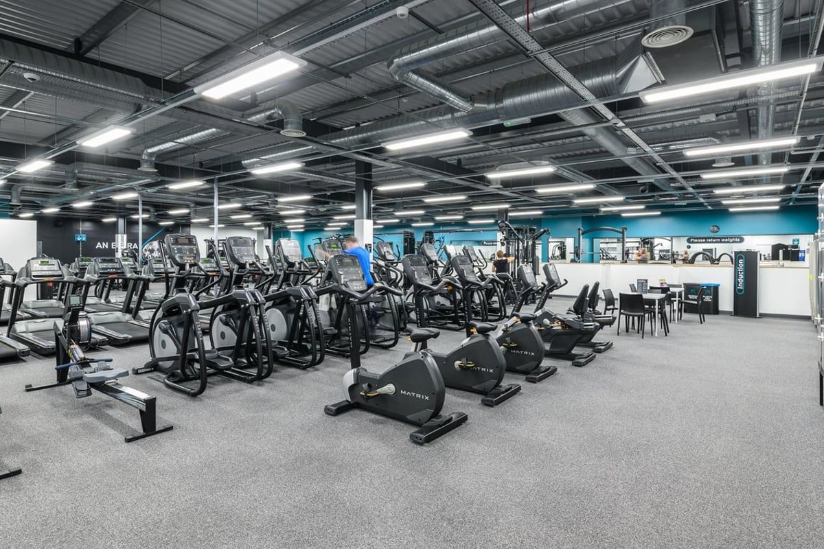 PureGym Newry: Rows of stationary bikes, ellipticals, and treadmills in a brightly-lit fitness centre.