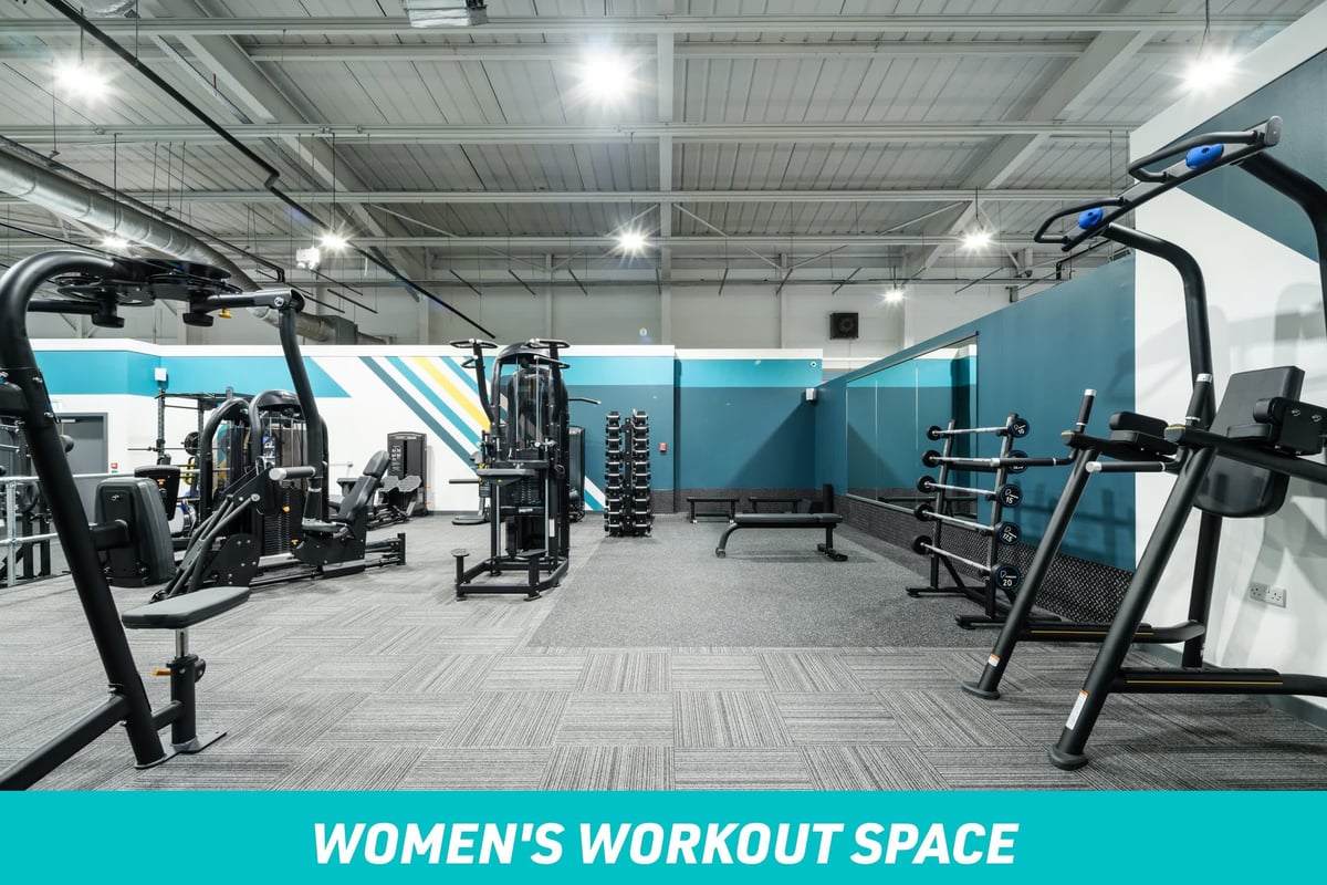 PureGym Plymouth Alexandra Road Women's Workout Space: stretch area and pull up and dip frame