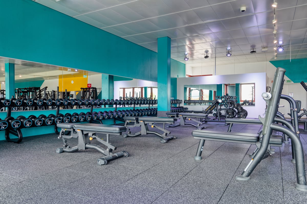 Rack d'haltères et bancs plats dans l'espace gym