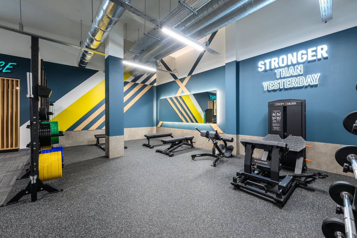 Nottingham Arnold Shape Area