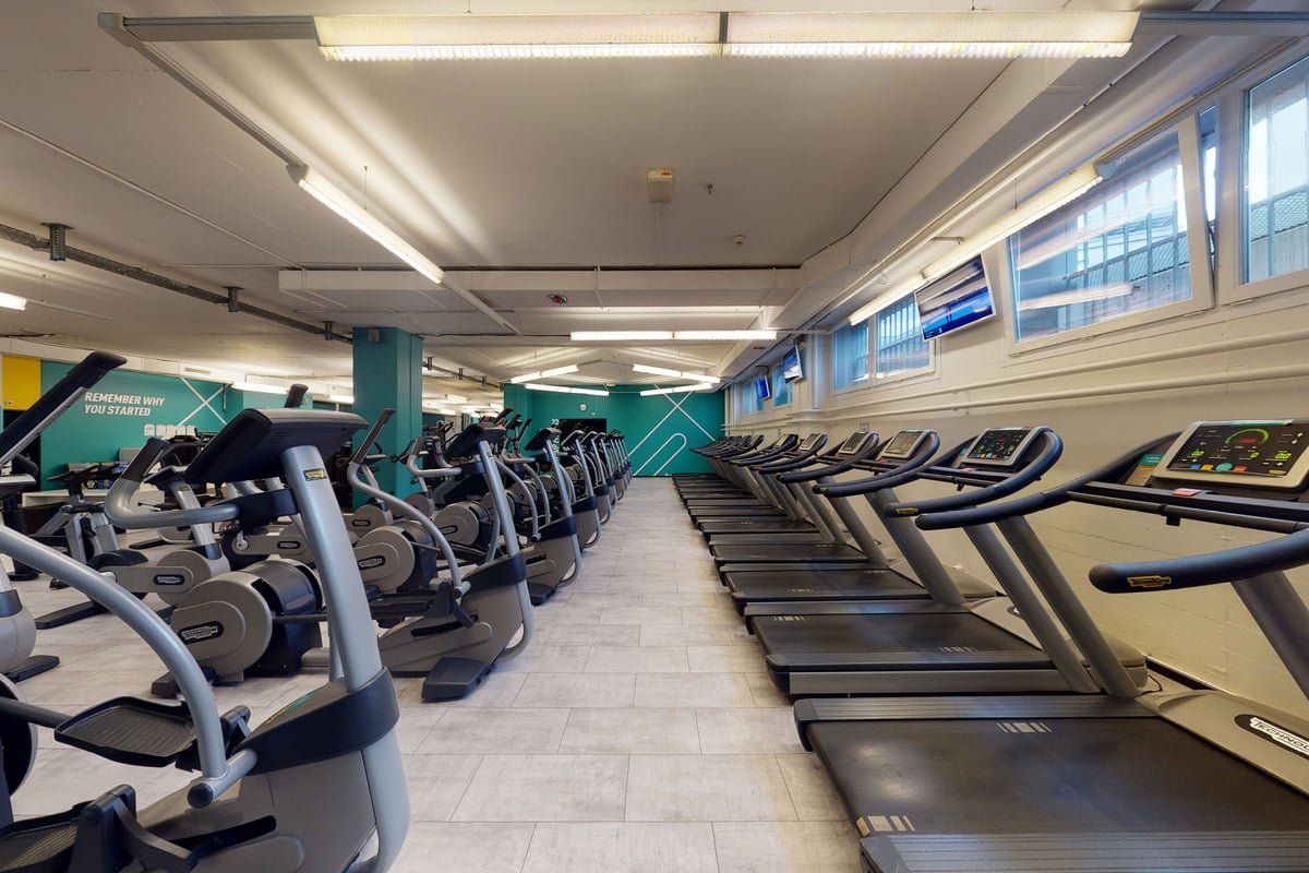 PureGym Basel Dreispitz: Rows of treadmills, ellipticals, and stationary bikes in a bright gym with floor-to-ceiling windows.