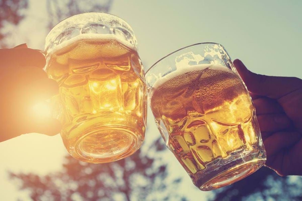 Two hands clinking beer mugs with sunlight shining through the golden liquid.