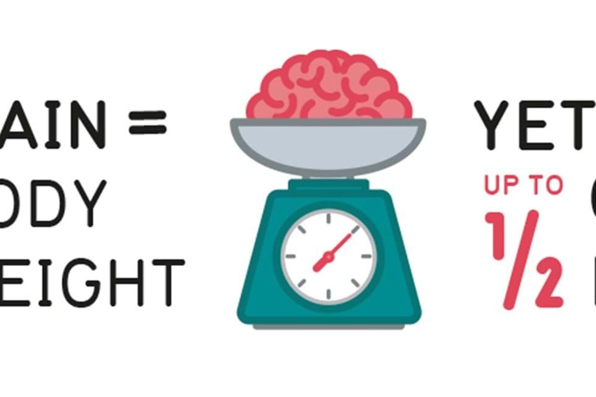 Brain on a scale with text about brain weight and energy usage percentages.