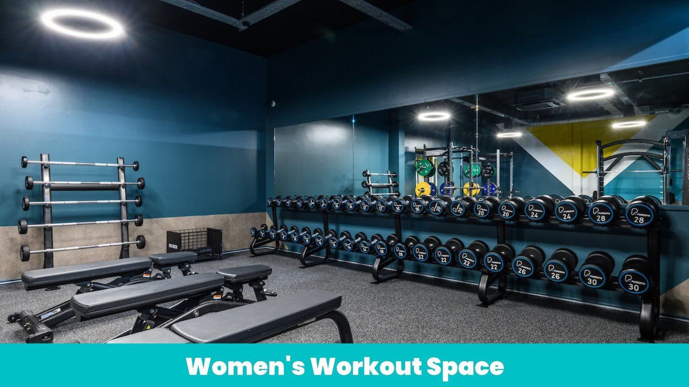 Bristol Eastgate WWS Free Weights