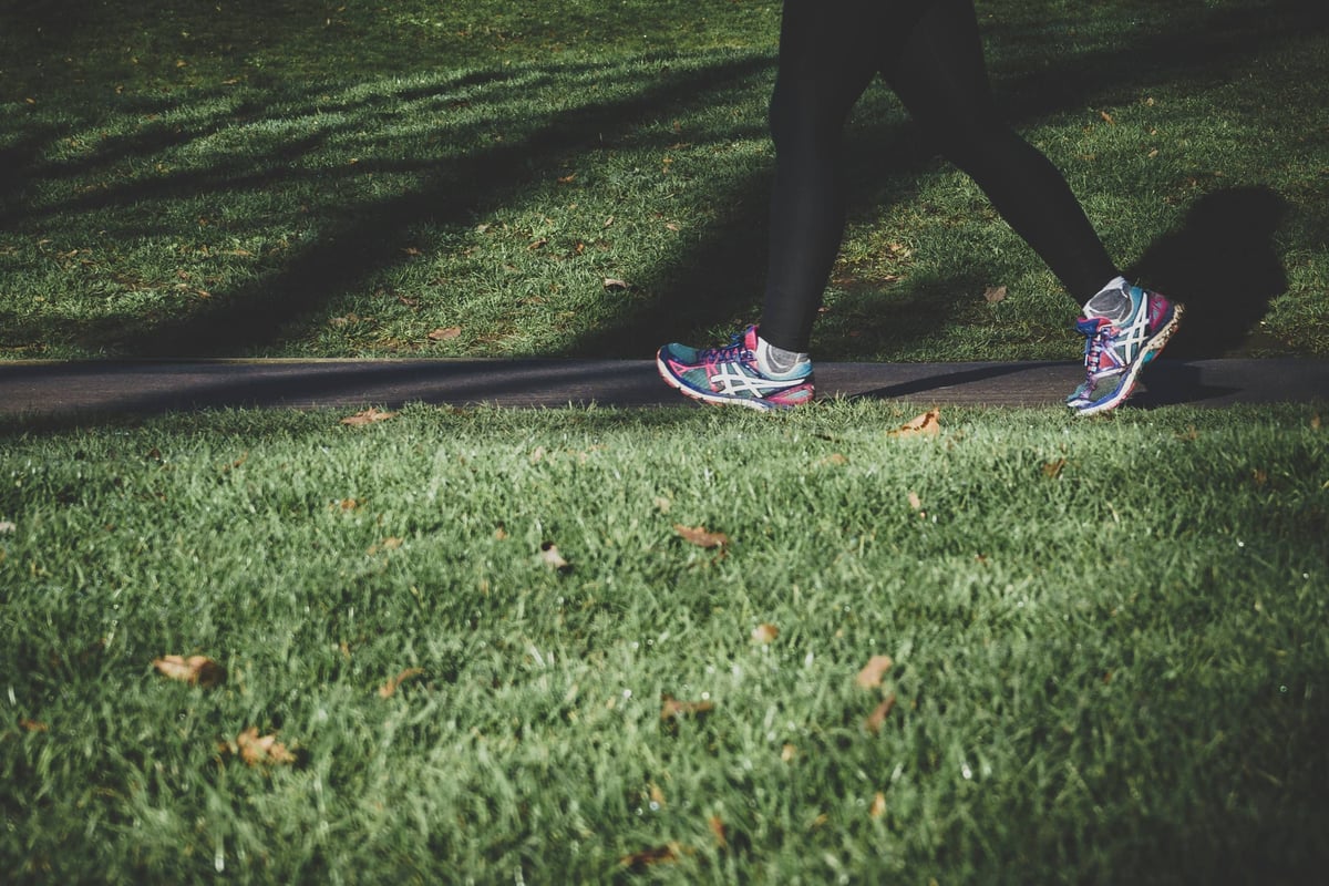 Person walking on a path