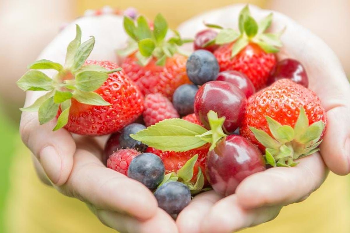 Hands holding fresh strawberries, blueberries, raspberries, and cherries with leaves.