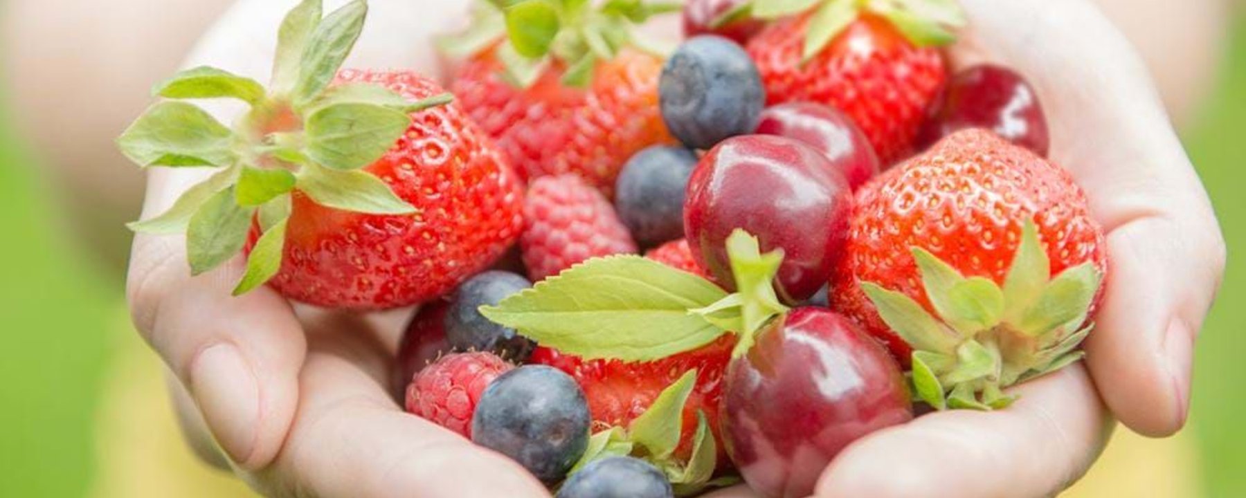 Hands holding fresh strawberries, blueberries, raspberries, and cherries with leaves.