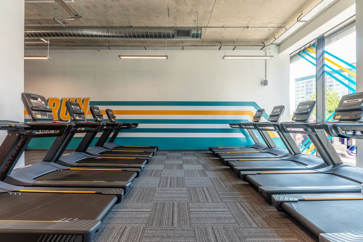 PureGym London Feltham: Rows of modern treadmills in a bright gym studio with concrete ceiling and large windows.
