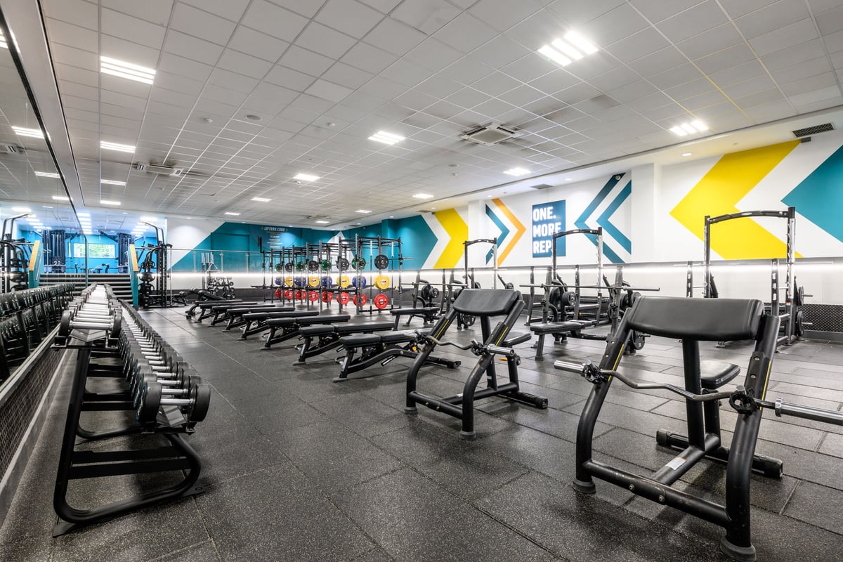 Stafford Free Weights