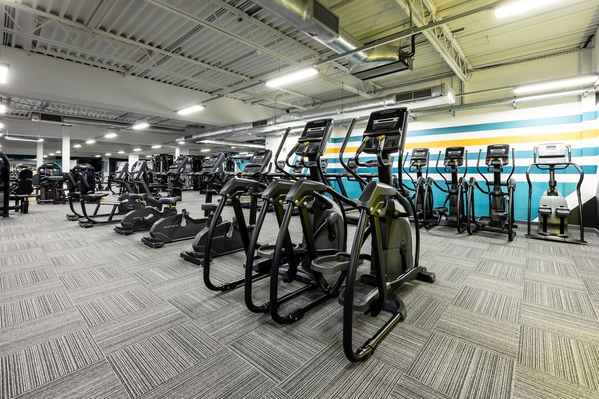 PureGym Motherwell: Rows of elliptical machines, treadmills, and stationary bikes in a brightly lit fitness centre.