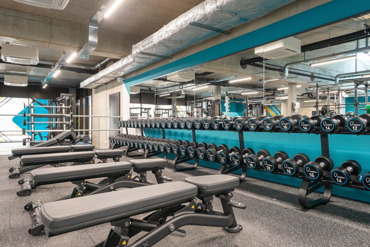 PureGym Bellinzona: ows of benches and dumbells