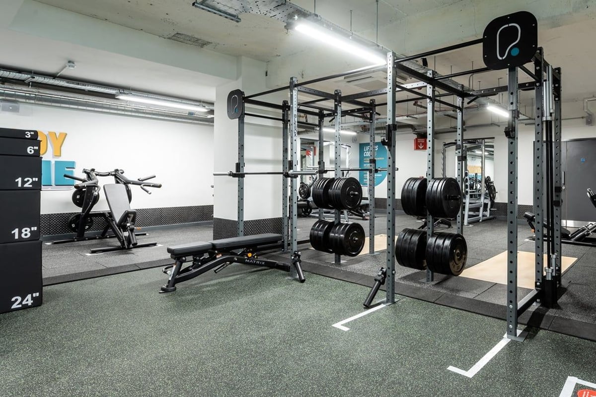 PureGym London Holloway Road: Power racks, flat benches, weight plates, and rubberised flooring inside a gym facility.
