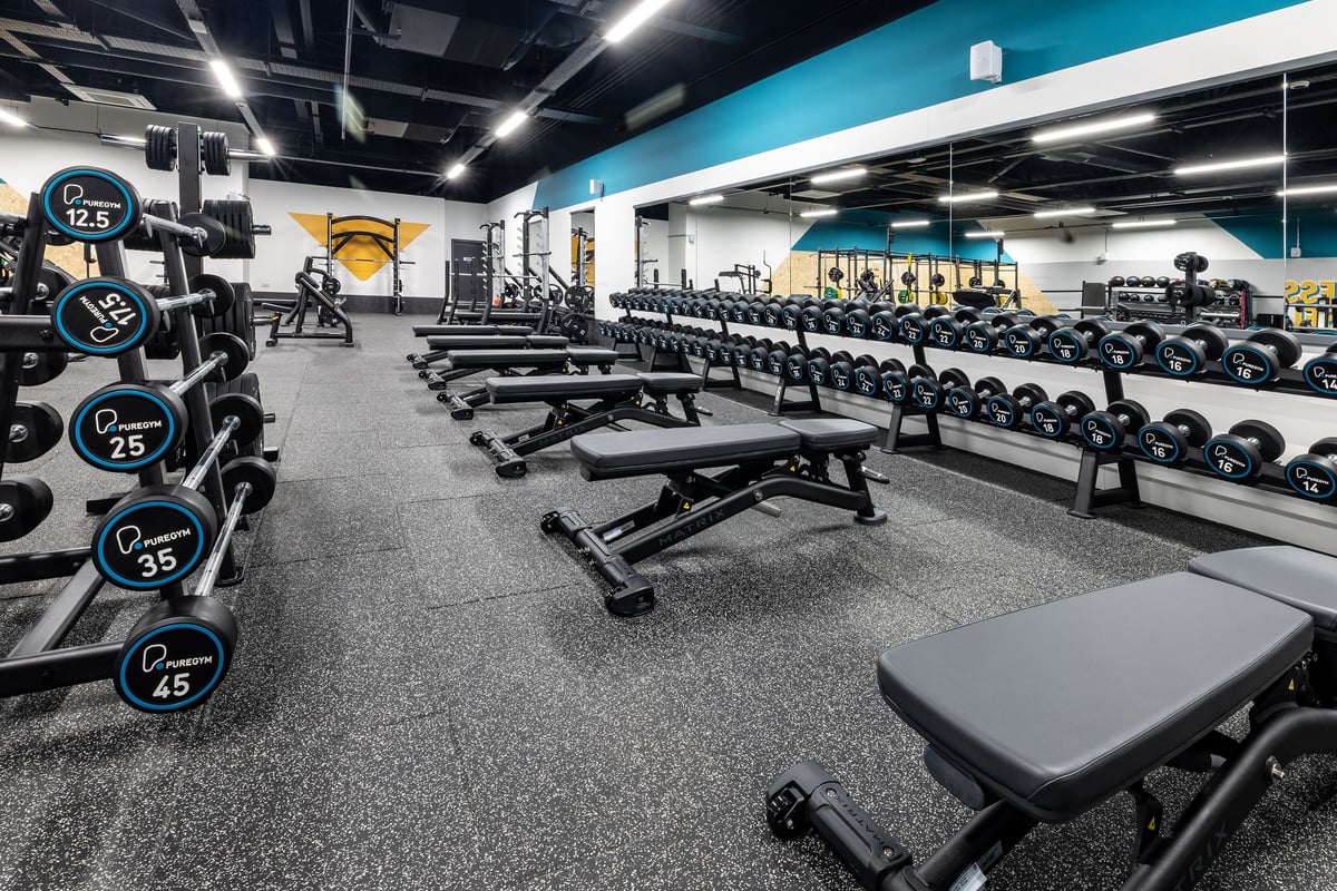 PureGym Hartlepool: Rows of benches, dumbbell racks with varied weights, and rubberized flooring in a vibrant gym space.