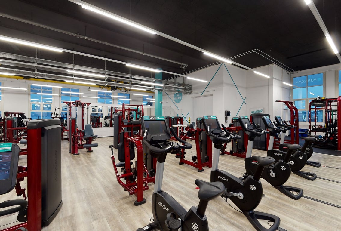 PureGym Horgen: Kraftgeräte, Kardiogeräte und helle Beleuchtung.