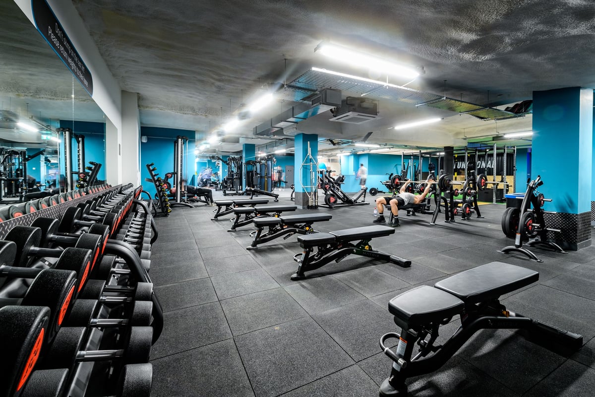 PureGym Hitchin: Rows of weightlifting benches, squat racks, dumbbells, and weight plates on rubberised flooring.