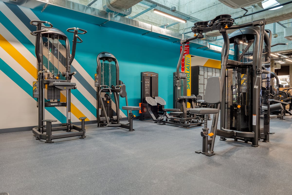 PureGym Bellinzona: fixed-pin machines in a gym