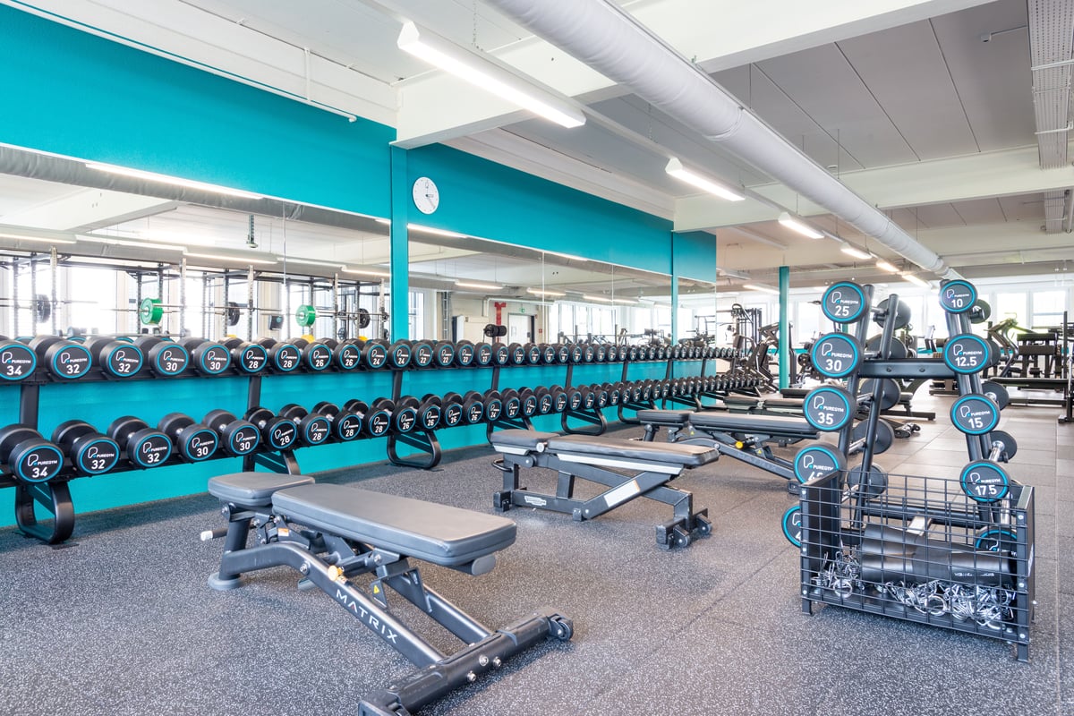 Baar Free Weights