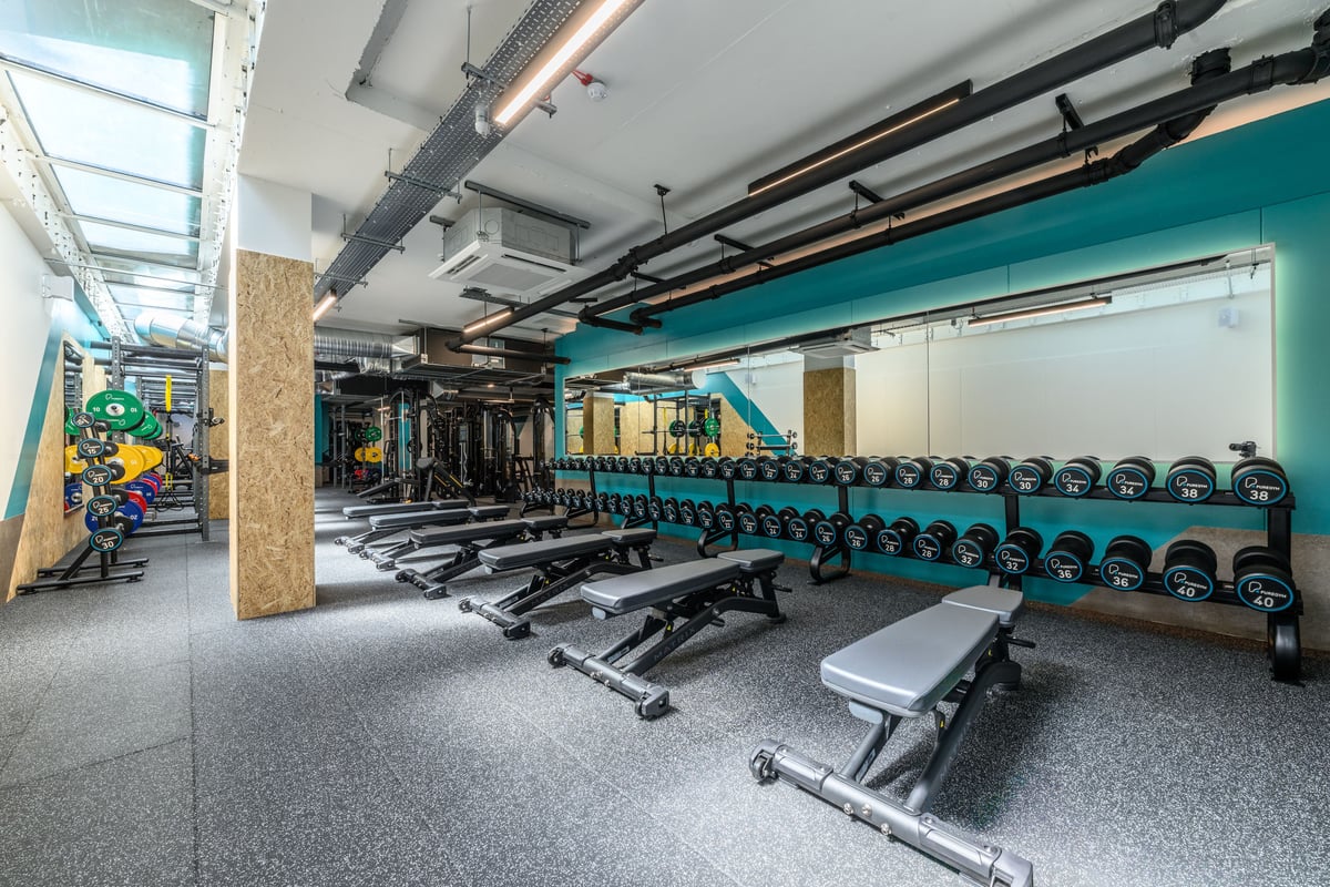 Chiswick Free Weights Area