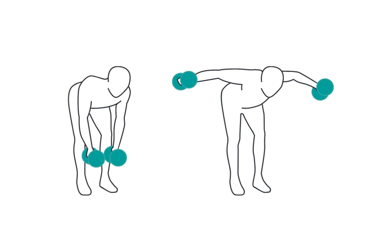 Person performing bent-over reverse fly exercise with dumbbells