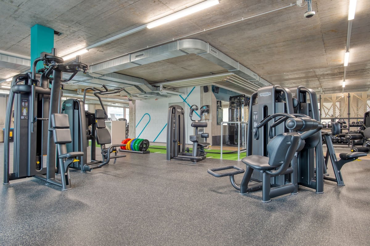 PureGym Lenzburg : zone de musculation PureGym avec appareils de résistance, supports de squat et haltères.