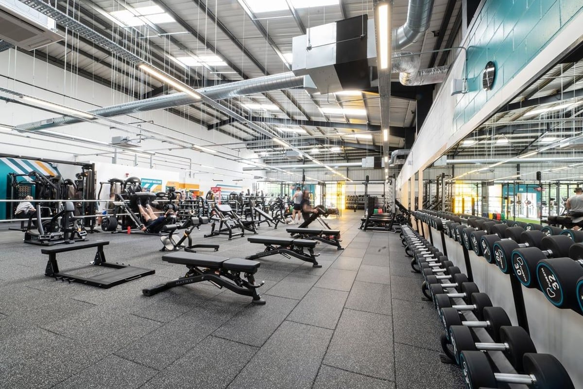 PureGym Dover: Rows of weight benches, squat racks, free weights, and rubberized flooring in a spacious gym.