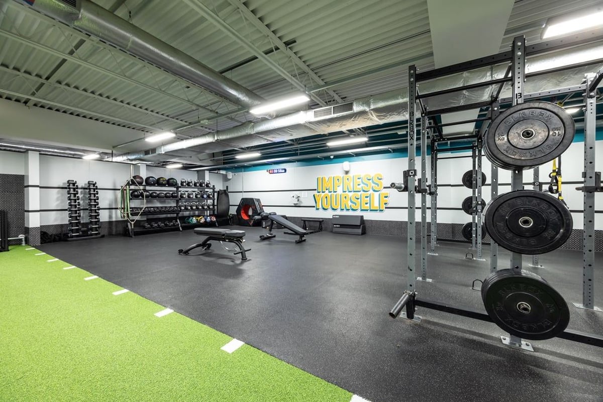 PureGym Motherwell: Squat racks, weight racks, benches, free weights, turf area, motivational mural on wall.