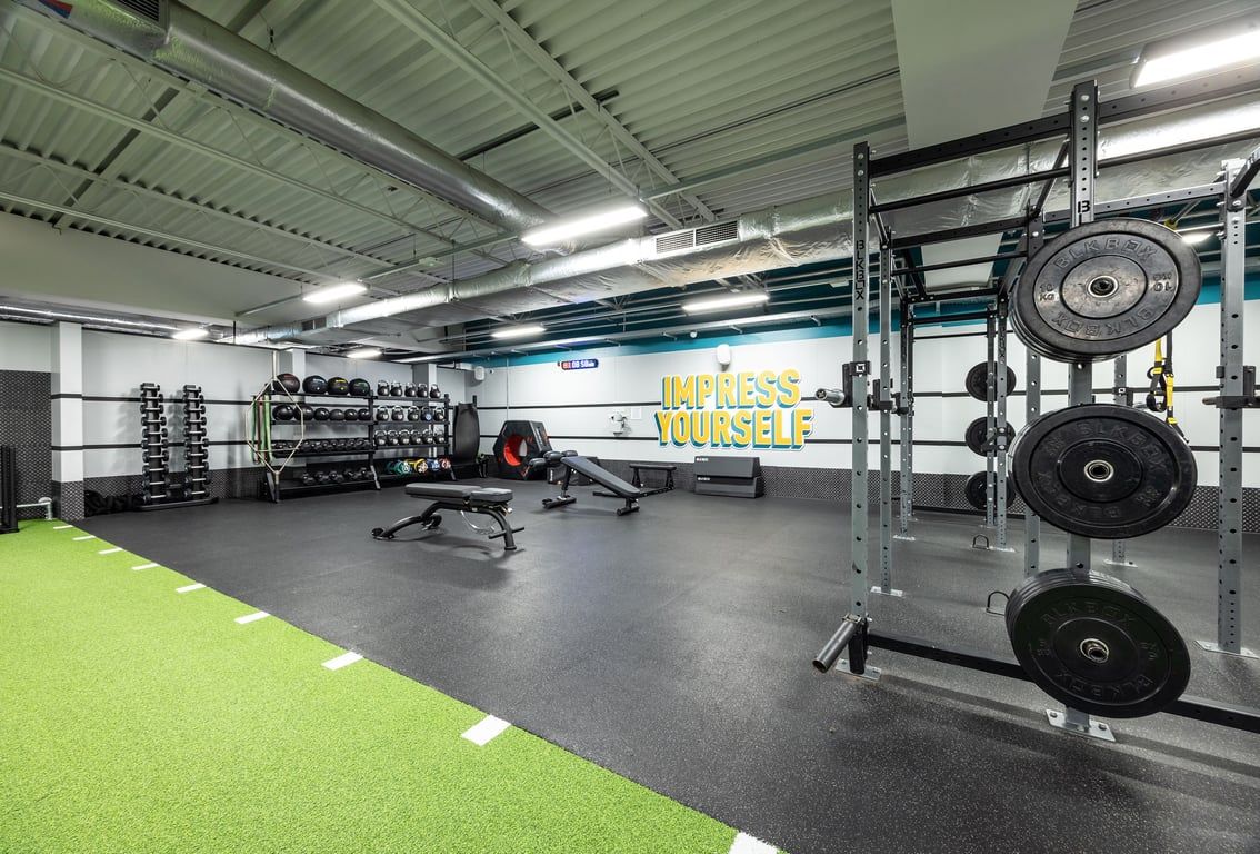 PureGym Motherwell: Squat racks, weight racks, benches, free weights, turf area, motivational mural on wall.