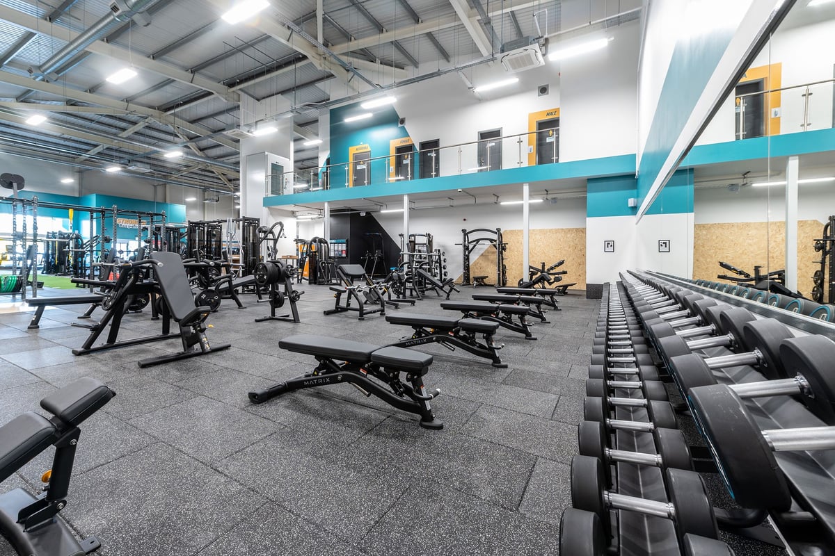 PureGym Portishead: Strength training area with squat racks, benches, dumbbells, and rubberized flooring.