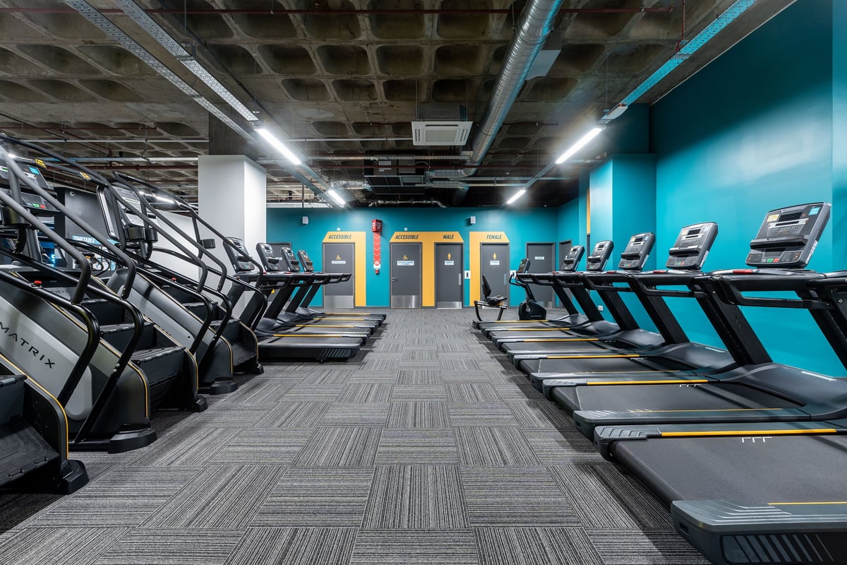 PureGym London Wood Green: Rows of treadmills in a dimly lit gym with turquoise walls and exposed ceilings.