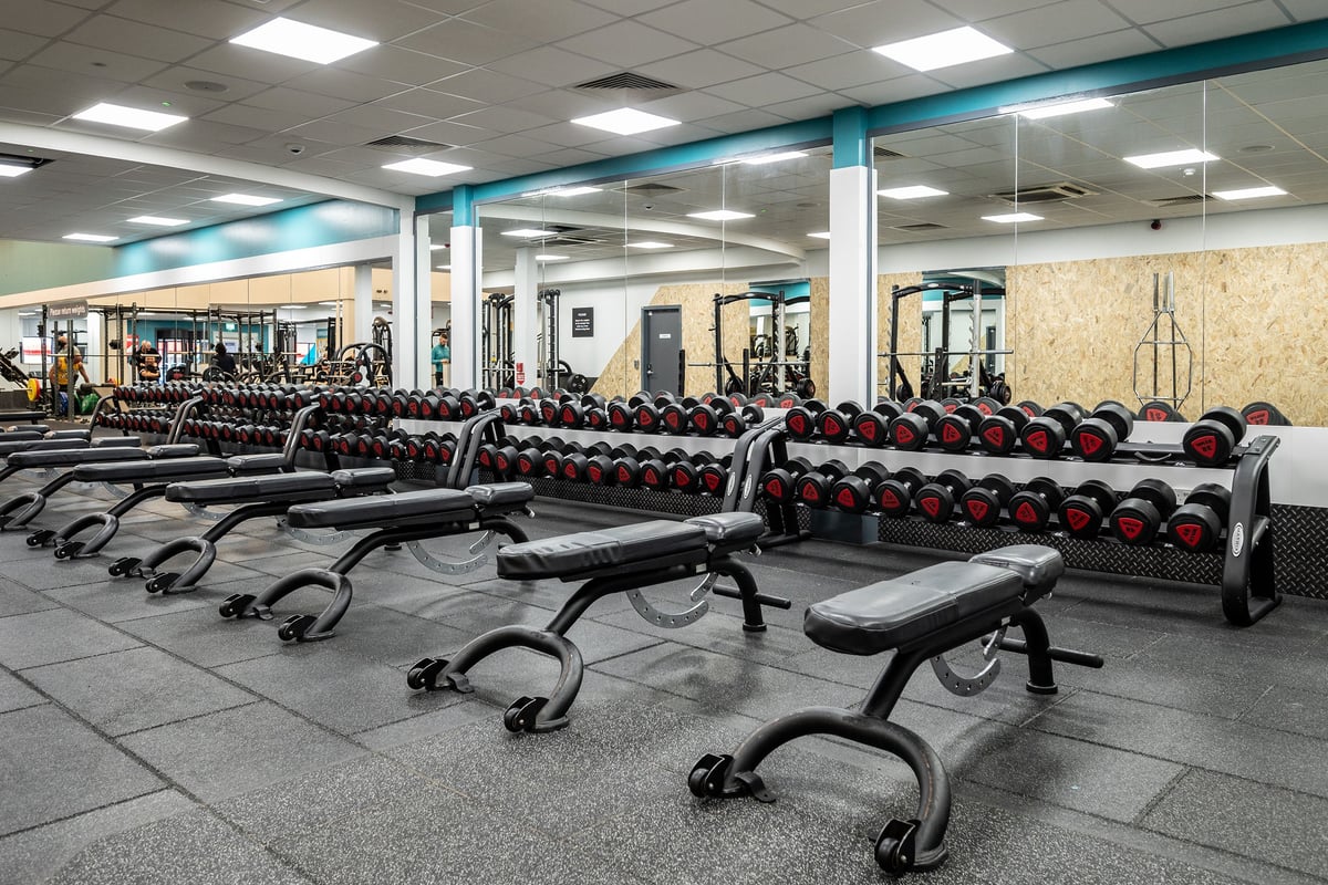 PureGym Belfast Boucher Road: Rows of weight benches, dumbbell racks filled with weights, and exercise equipment.