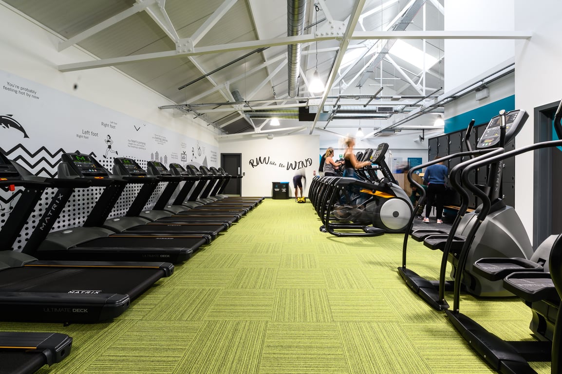 PureGym London East Sheen: Rows of treadmills, cross-trainers, exercise bikes, and strength equipment in a spacious gym.