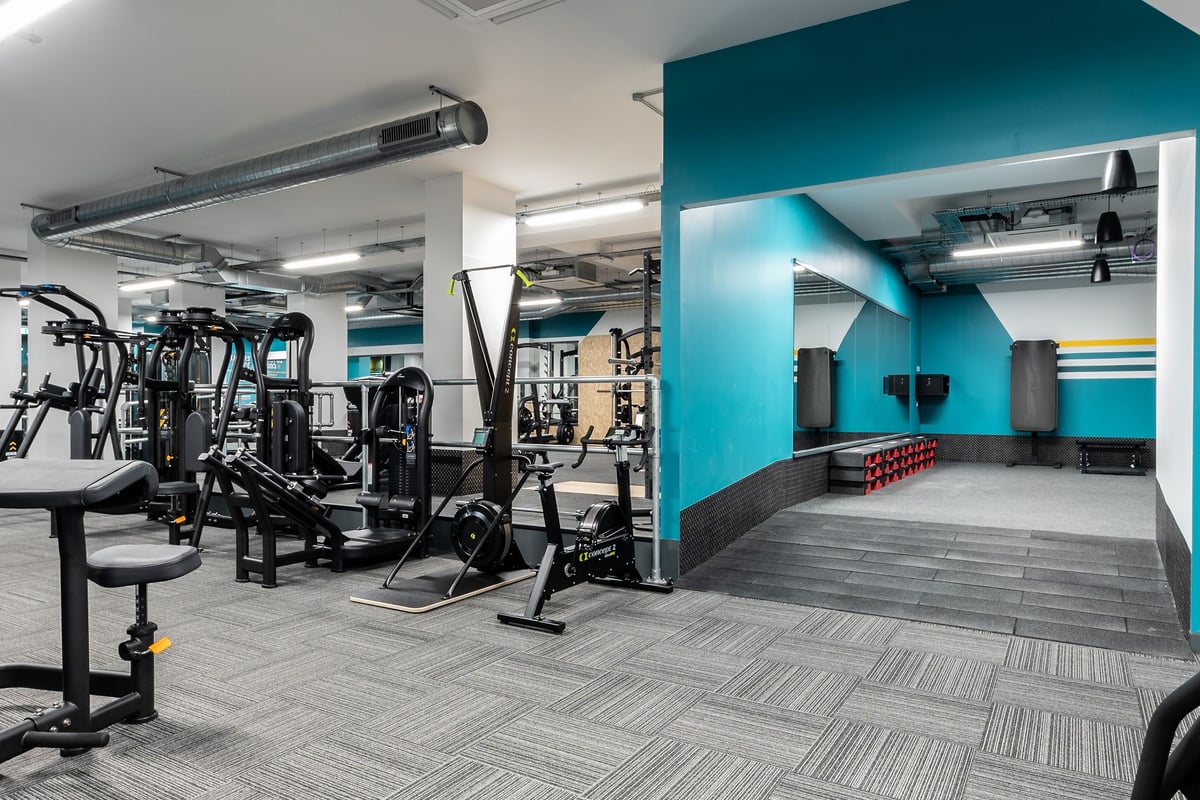 PureGym London Palmers Green: Rows of weight machines, exercise benches, and turf area in a fitness studio.