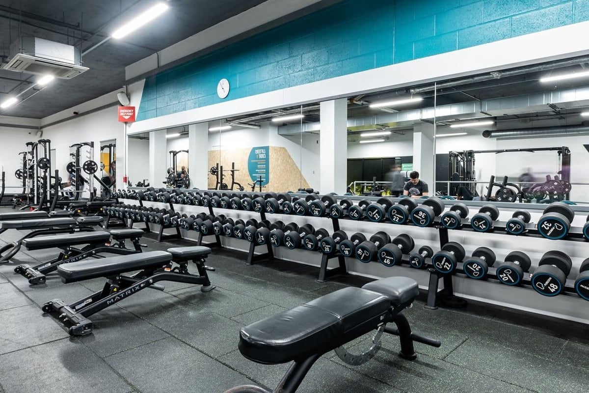 PureGym London Hammersmith Palais: Rows of free weights, benches, and weight racks in a basement gym with teal brick walls.
