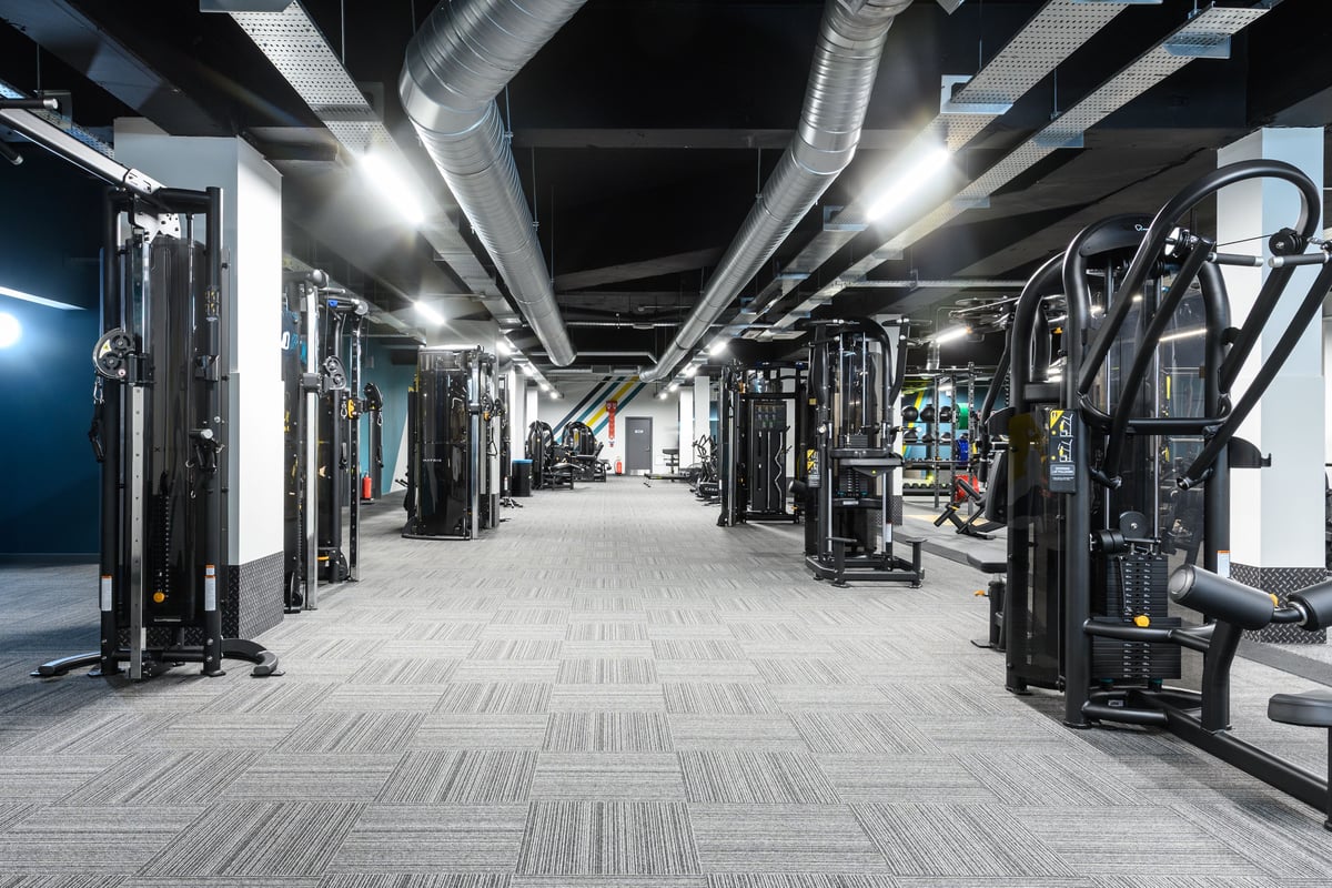 PureGym Sale fixed pin machines