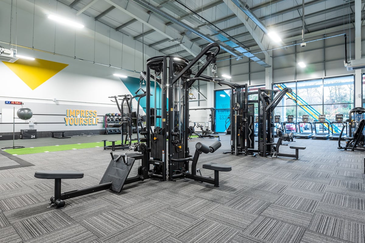 PureGym Alton: Resistance machines, weight benches, rubberized flooring in a spacious gym area.