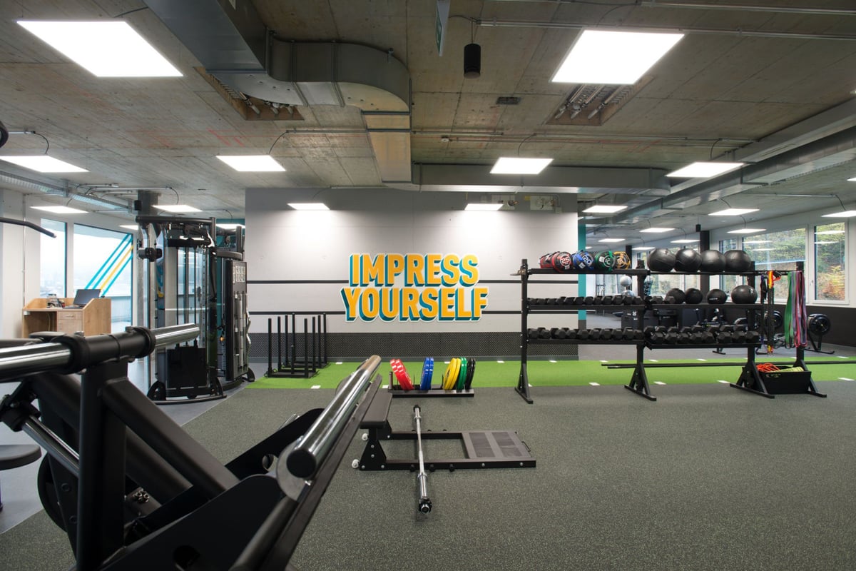 PureGym Adliswil: Des haltères, des bancs, une zone gazonnée, des haltères et des murs en miroir.