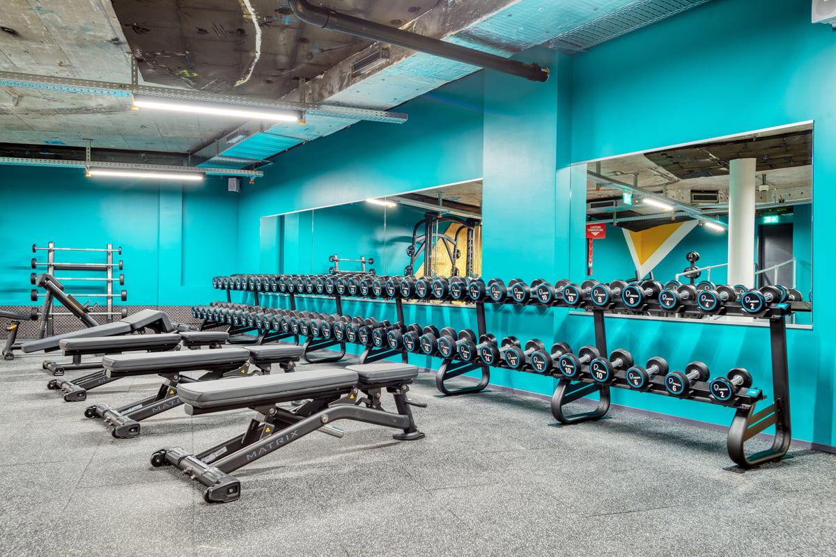 Un espace de gym avec râteliers d'haltères, plusieurs bancs Matrix réglables, un support pour barres et un grand miroir mural.
