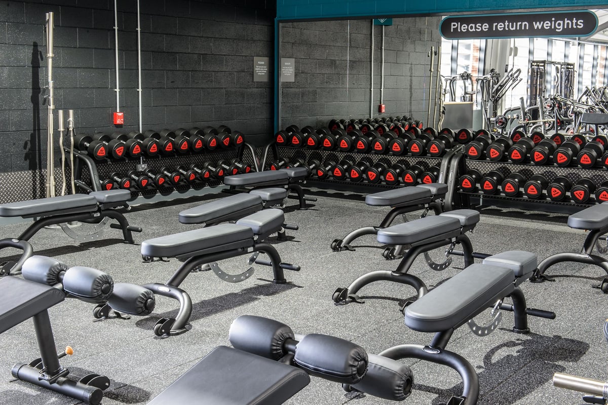 PureGym Leeds Kirkstall Bridge: Rows of weight benches, dumbbell racks with numerous weight plates, and gym signage on wall.