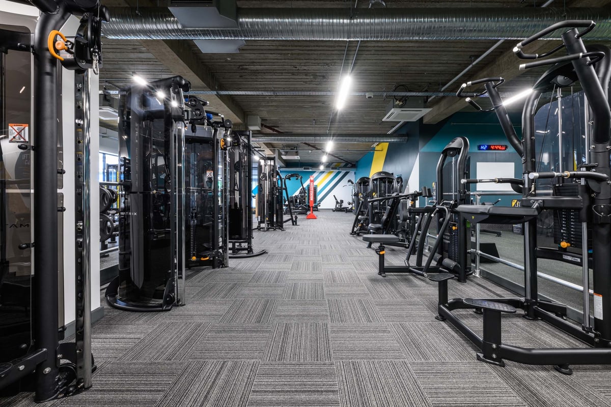 PureGym Wickford Fixed Pin machines