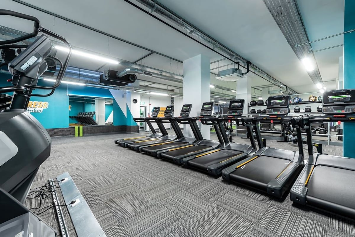 PureGym London Crouch End: Rows of treadmills, exercise bikes and elliptical machines in a modern gym studio.