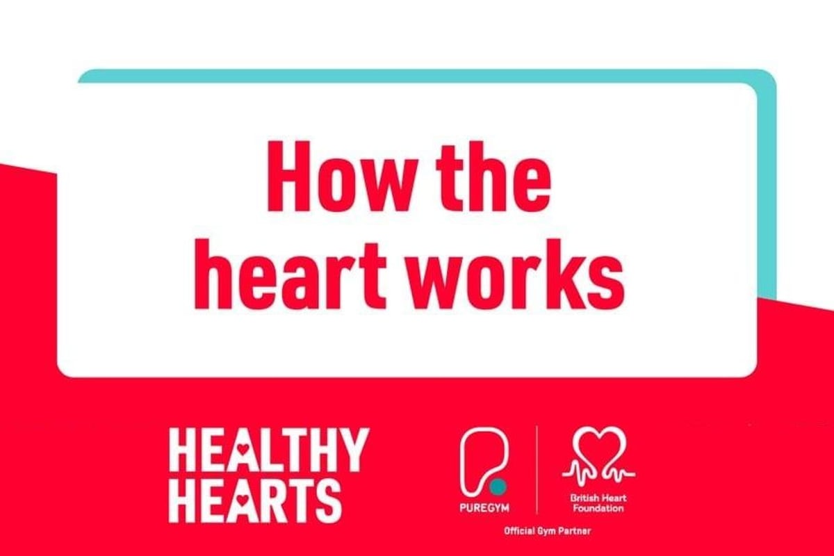How the heart works - PureGym and British Heart Foundation