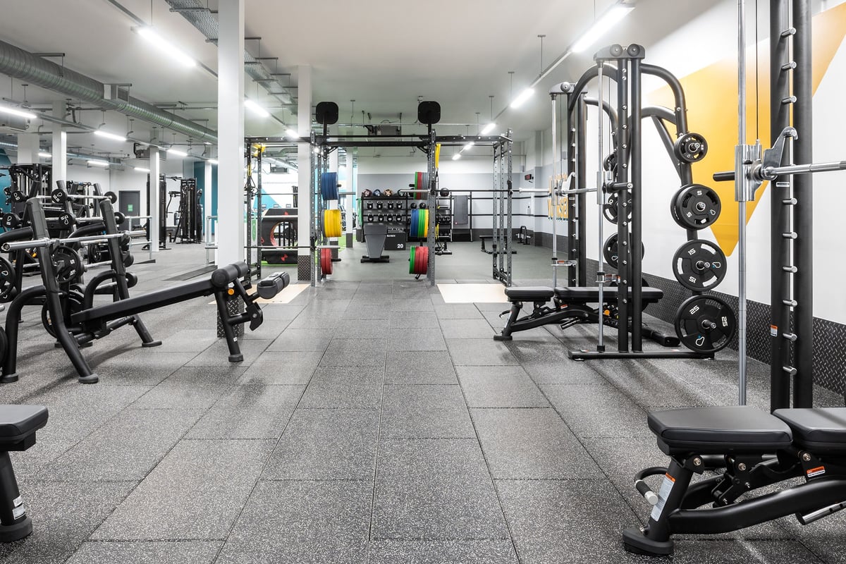 PureGym Yeovil Houndstone Retail Park: Weights, benches, squat racks, and rubberized flooring in a well-equipped gym studio.