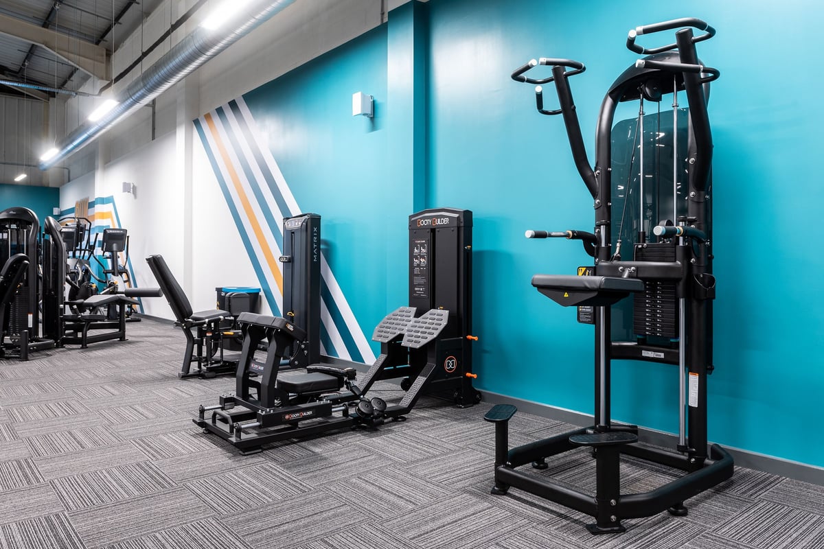 PureGym Newhaven: Weight machines, resistance equipment, rubberized floor, teal accent walls in a gym setting.