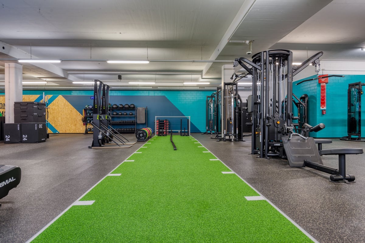PureGym Dübendorf: Functional training area with green turf, weight machines and colourful wall graphics.